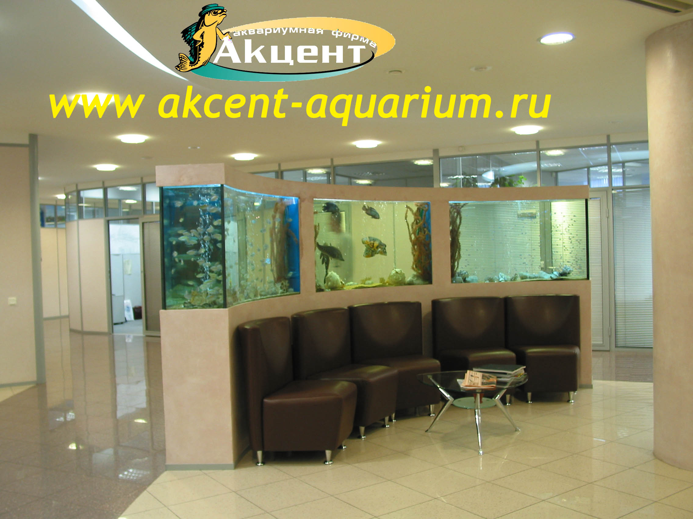 Акцент-Аквариум, 3 аквариума сложной формы